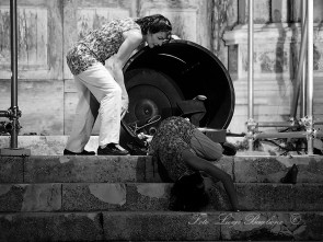 A Roma Gruppo e-Motion con Garbage Girls di Francesca La Cava