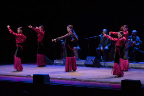 A Torino Cinco Miradas, il flamenco di Carmen Meloni