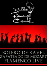 Juanma Carrillo, Luis Ortega e la Compagnia Ballet Flameco Espanol in tour da Torino a Bari